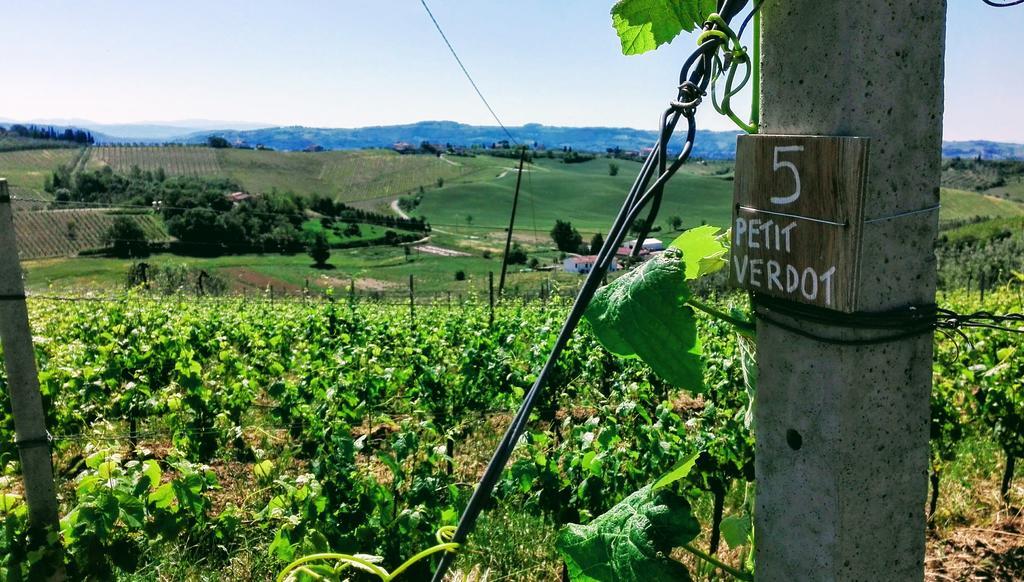 Agriturismo Luggiano Винчи Екстериор снимка