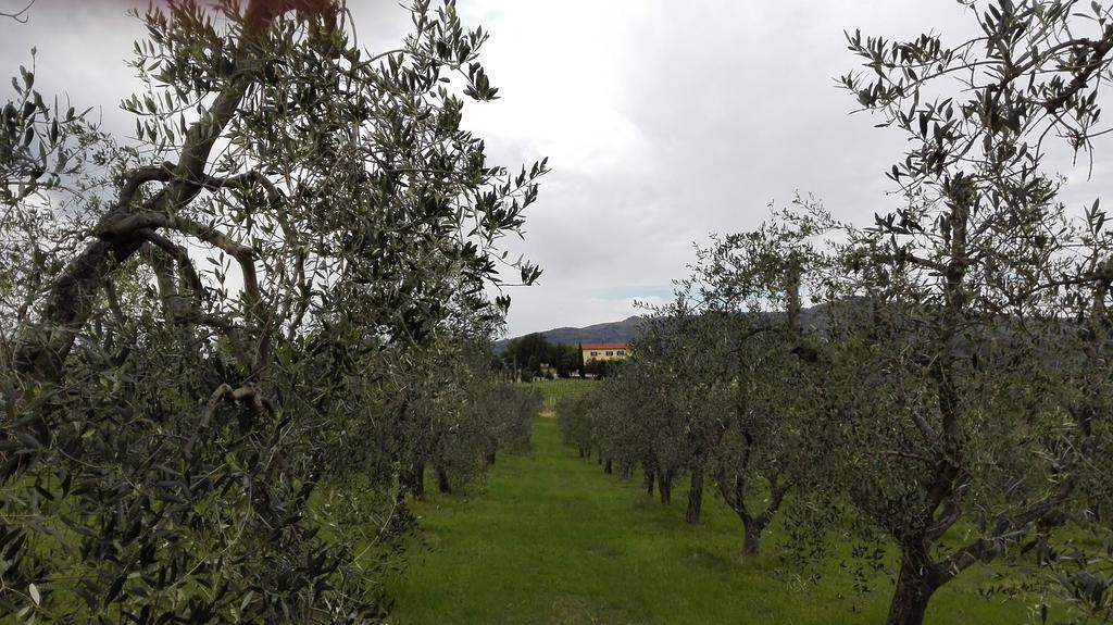 Agriturismo Luggiano Винчи Екстериор снимка