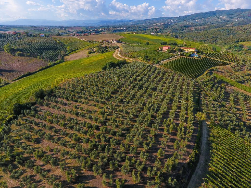 Agriturismo Luggiano Винчи Екстериор снимка