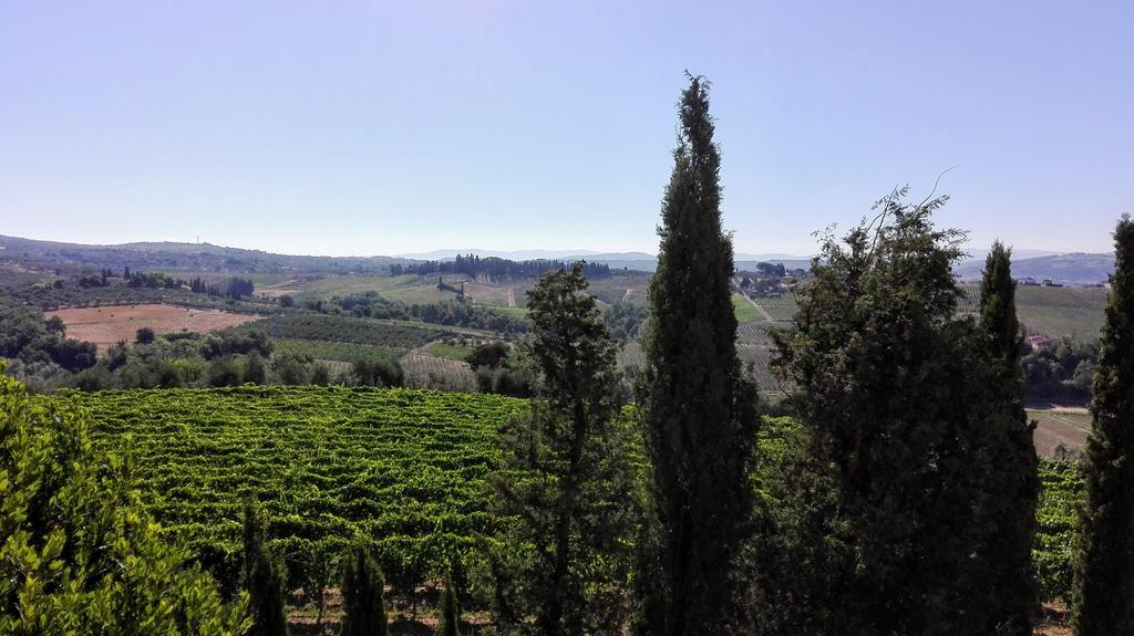 Agriturismo Luggiano Винчи Екстериор снимка