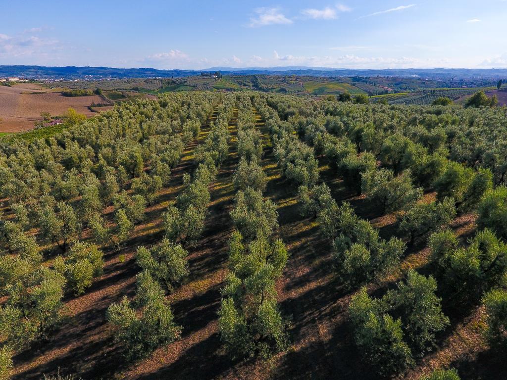 Agriturismo Luggiano Винчи Екстериор снимка