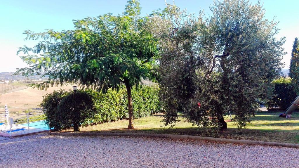 Agriturismo Luggiano Винчи Екстериор снимка