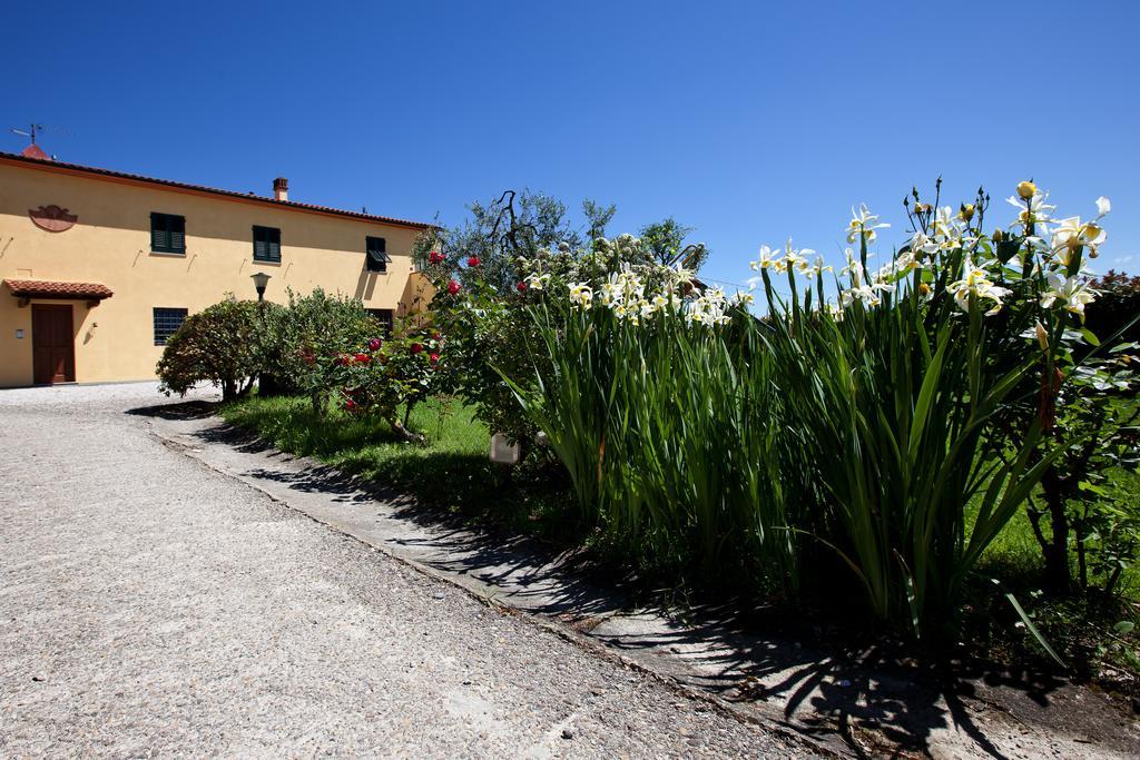 Agriturismo Luggiano Винчи Екстериор снимка